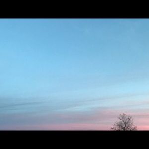 Meet your Posher, Dhalia